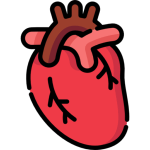 Heart Care